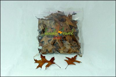3.5L bag of Oak Leaf Litter 1