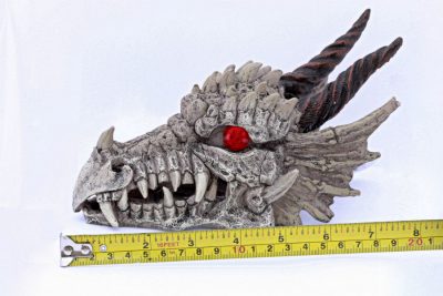 Dragon Skull measured
