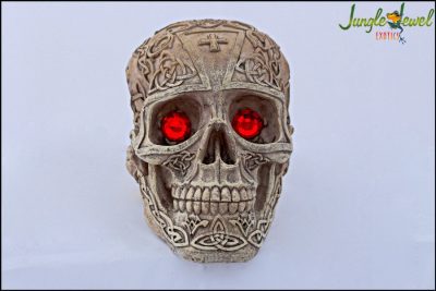 Etched Human Skull with Ruby Eyes front marked 1