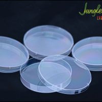 Petri Dish 4 pack
