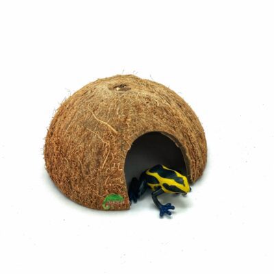 Reptiscape Half Coconut Hut - Coconut Hut - Coco Hut with Dart Frog