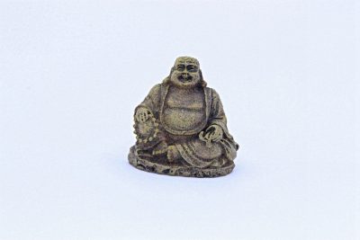Sitting Budda