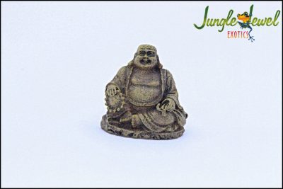Sitting Budda Marked 1