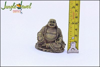 Sitting Budda Measured Marked 1