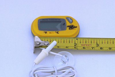 Zoomed Digital Thermometer measured