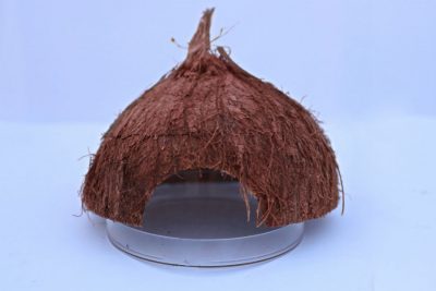coco hut petri dish