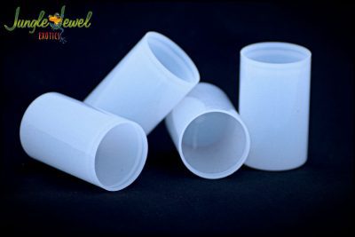 film canisters for dart frogs