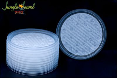 Poly Fabric Vented Lids (10 pack) Fruit Fly Lids
