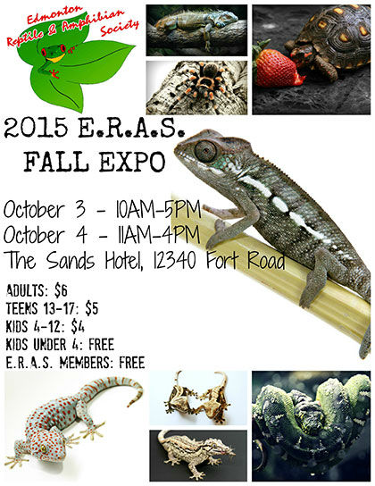 Edmonton reptile Expo, Red Deer, Calgary, Alberta
