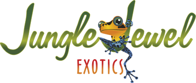 Dart Frog-gecko-breeding-lVivarium-Terraium-Calgary-Edmonton-Red Deer-Alberta-BC-Sask-Manitoba-MistKing-Mister-LED-Isopod-Springtail-soil bug-Snake-Turtle-Coral-Reptisun-Zoo med-Exoterra-plant-best