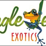 2016 spring reptile expo
