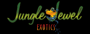 cropped junglejewelexotics