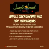 Jungle Background Mix For Terrariums