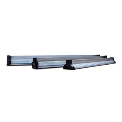 Jungle Dawn LED now available in Canada