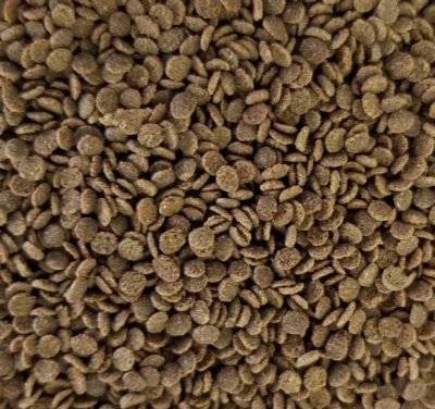 NorthFin Bug Pro 2mm Crisps - 130gm - Image 2