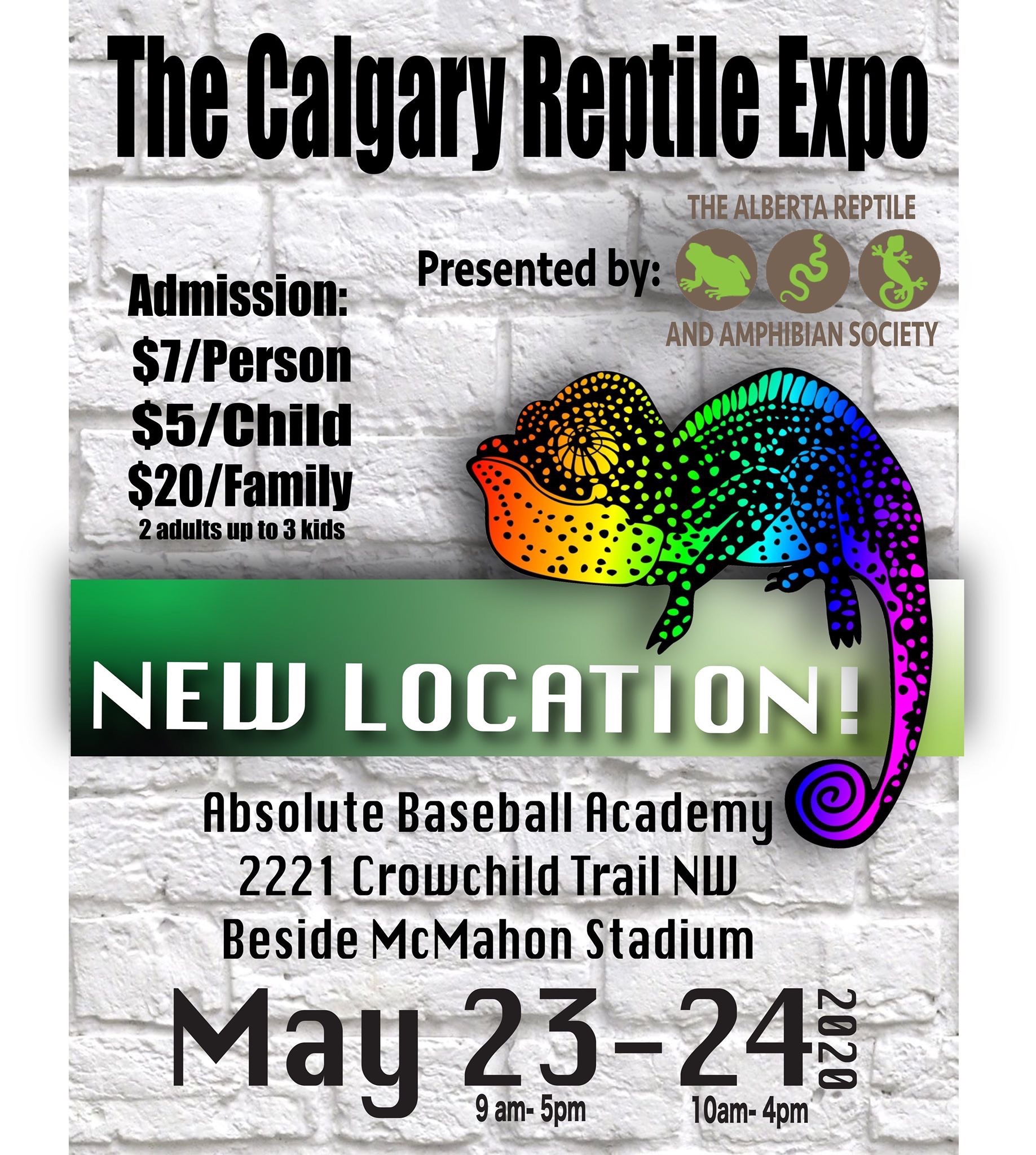 Reptile Expos Of Western Canada Spring And Summer 2020 Jungle Jewel