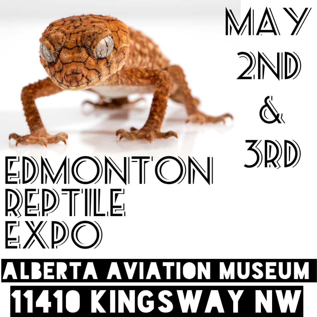 Edmonton Reptile Expo Spring 2020