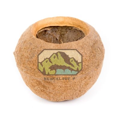 Monkey Pot