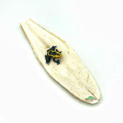 reptiscape Jumbo Cuttlebone for Isopods, Turtles and Birds