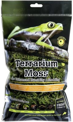 Galapagos Green Sphagnum Moss