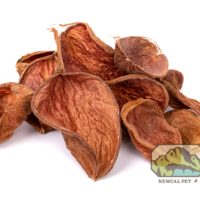 NewCal Lotus Flower Petals