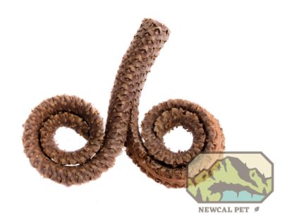 NewCal Rams Head Male Palm