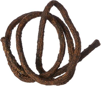 Flexible Terrarium Vine