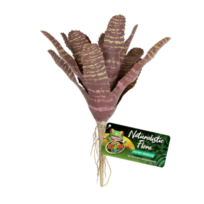 Artificial Plastic Fake Chestnut Bromeliad Plant for a Terrarium or Vivarium