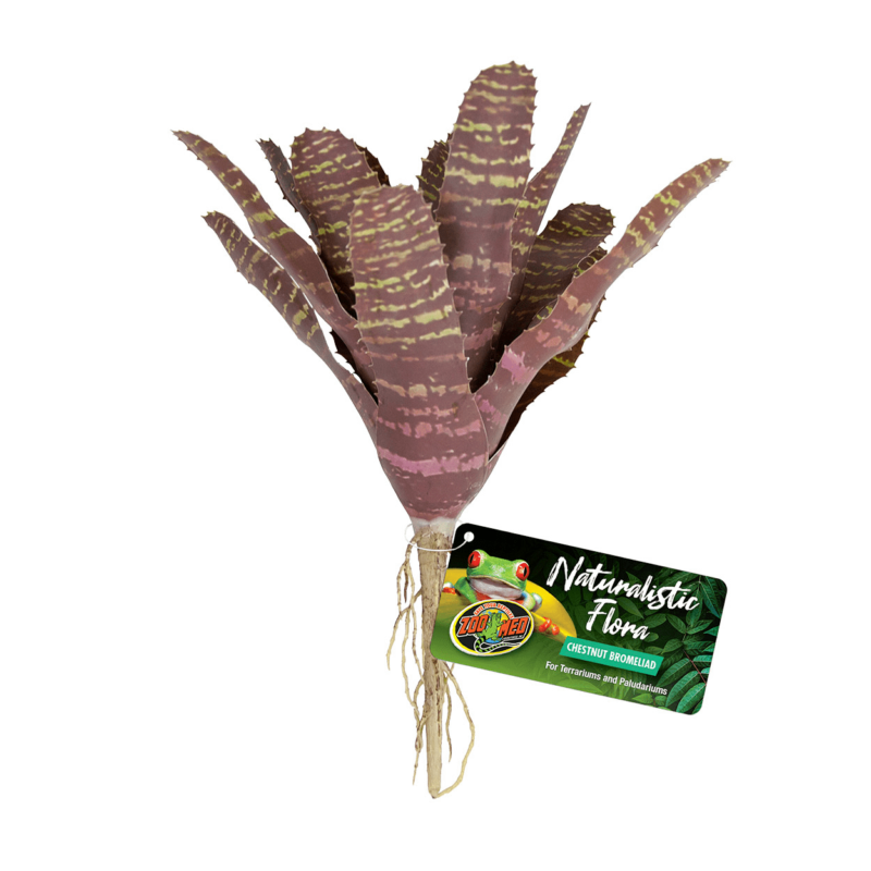 Artificial Plastic Fake Chestnut Bromeliad Plant for a Terrarium or Vivarium