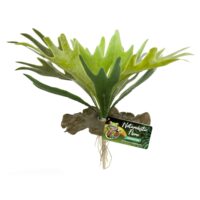 Artificial Plastic Fake Fern Plant for a Terrarium or Vivarium