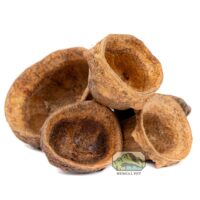 Mini Monkey Pods