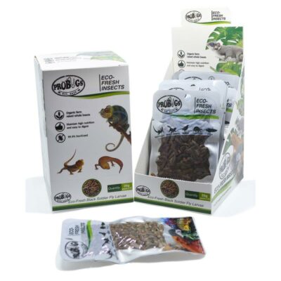Black Soldier Fly Larvae
