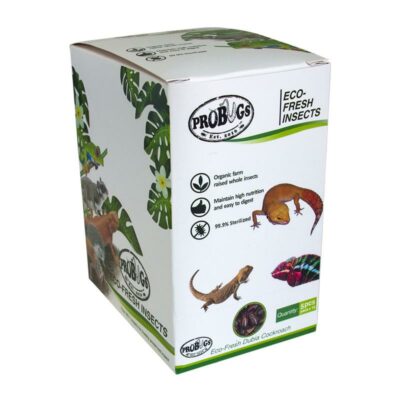 ProBugs Eco Fresh Dubia Cockroaches 10 pack