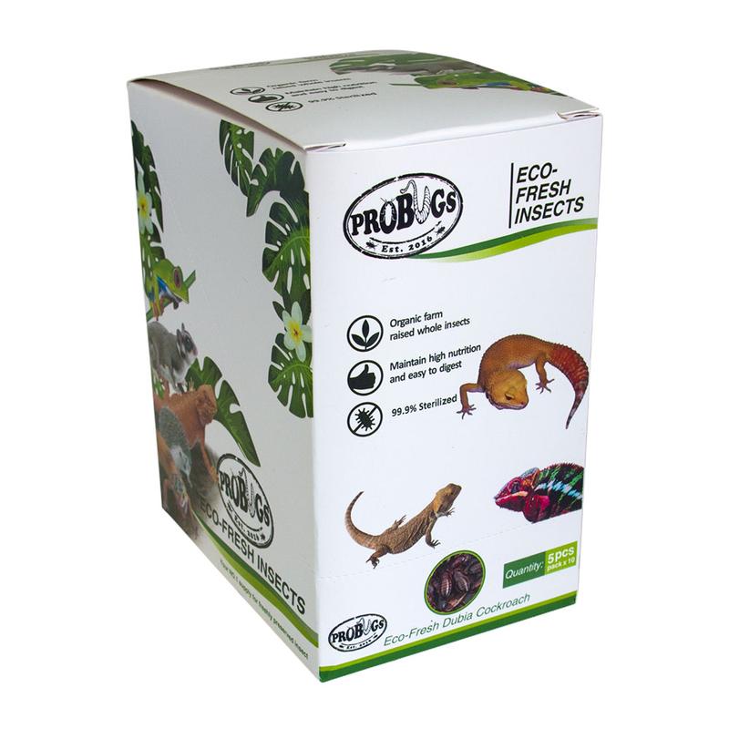 ProBugs Eco-Fresh Dubia Cockroaches (5 per pouch) - Image 2