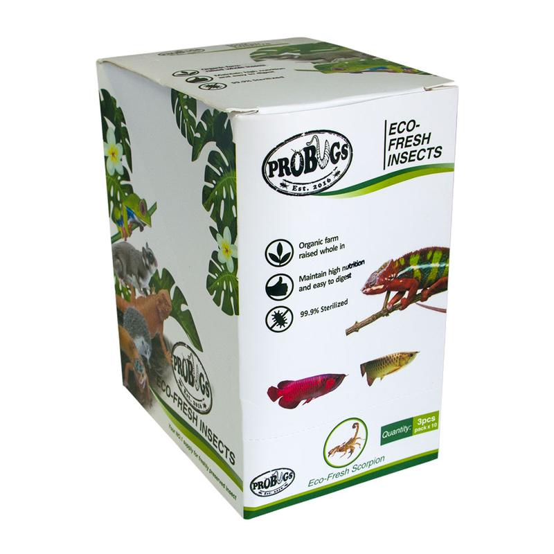 ProBugs Eco-Fresh Scorpion (3 per pouch) - Image 2