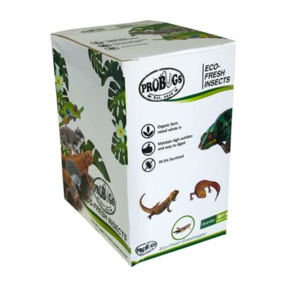 ProBugs Grasshopper 10 Pack