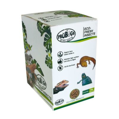 ProBugs Mealworm 10 pack
