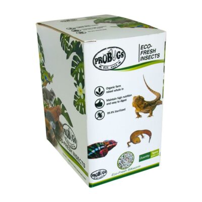 ProBugs Silkworm 10 Pack