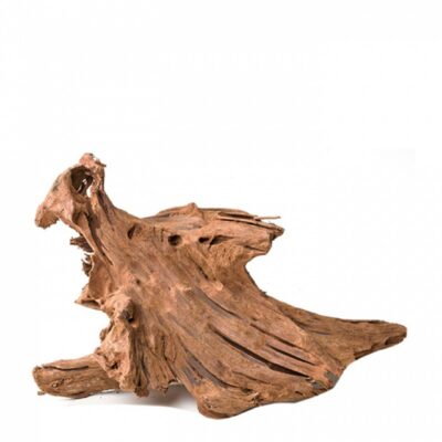 Malaysian Drift Wood 1