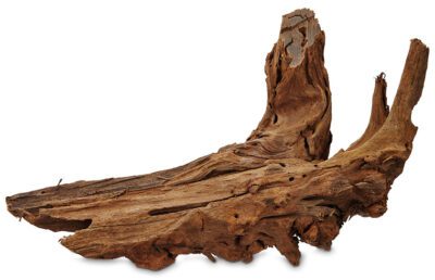 Malaysian Drift Wood 4