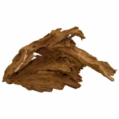 Malaysian Drift Wood 5