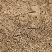 Calcium Bearing Clay Powder For Springtail Culture Substrate