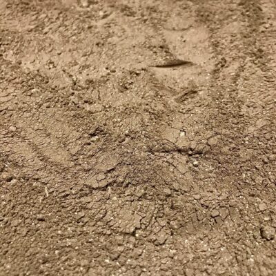Calcium Bearing Clay Powder For Springtail Culture Substrate