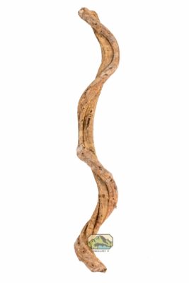 NewCal Liana Vine (Rosca) - Thin