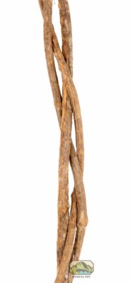 newcal braided trio vine