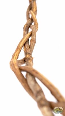 newcal braided vines