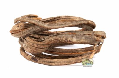 newcal corkscrew liana vine thick