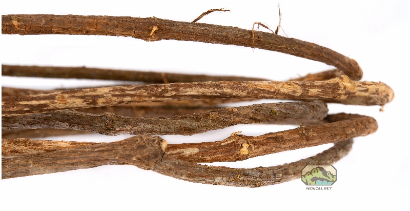 newcal corkscrew liana vine thin full coil close up