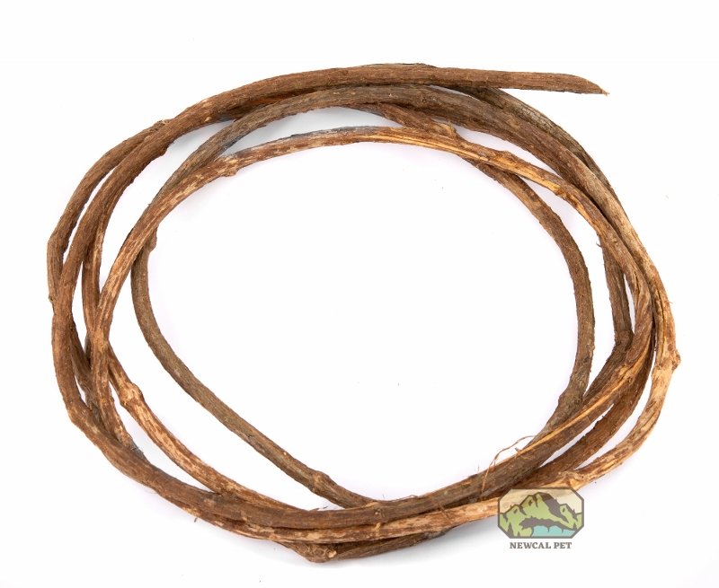 newcal Corkscrew Liana Vine thin full coil