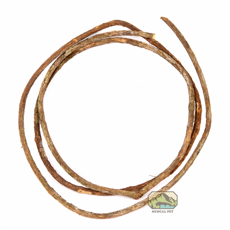 newcal corkscrew liana vine thin half coil